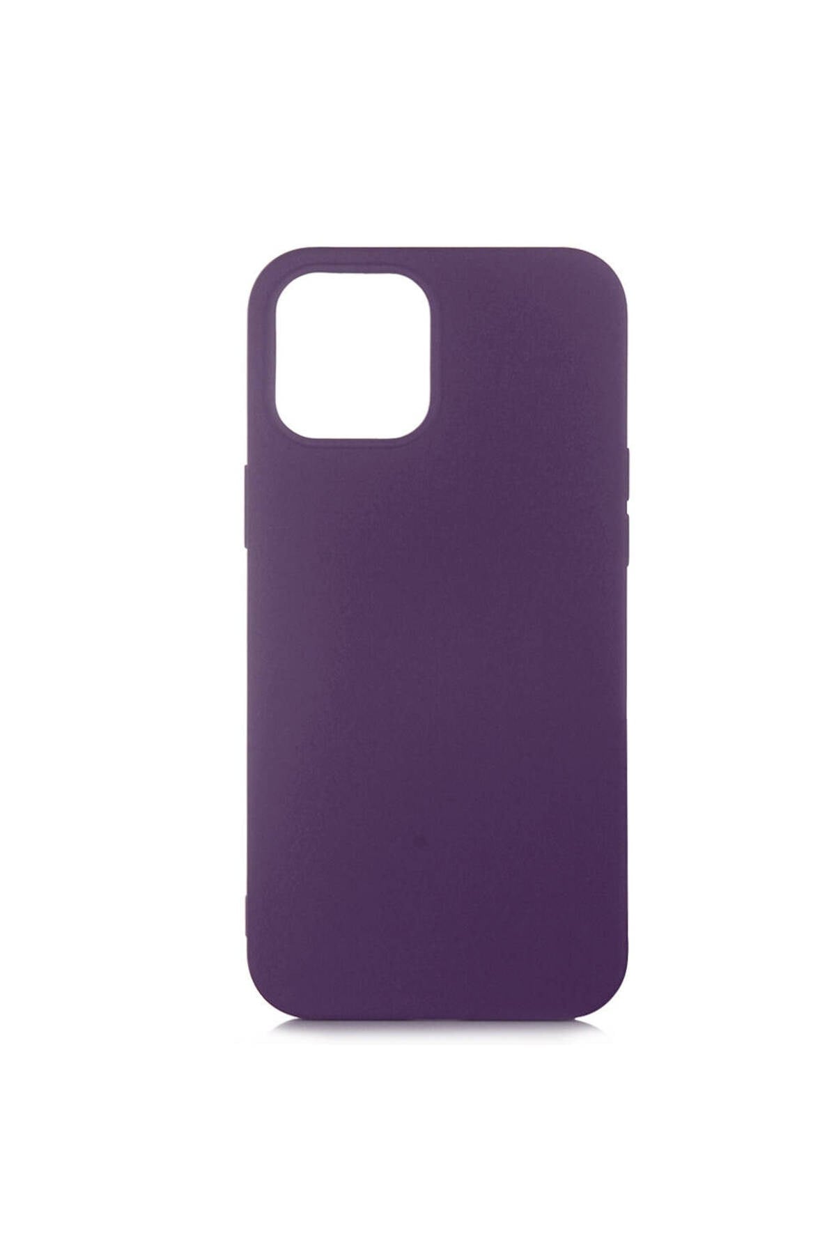 iPhone 12 Pro Max Uyumlu NVTH LSR Lansman Kılıf-Derin Mor