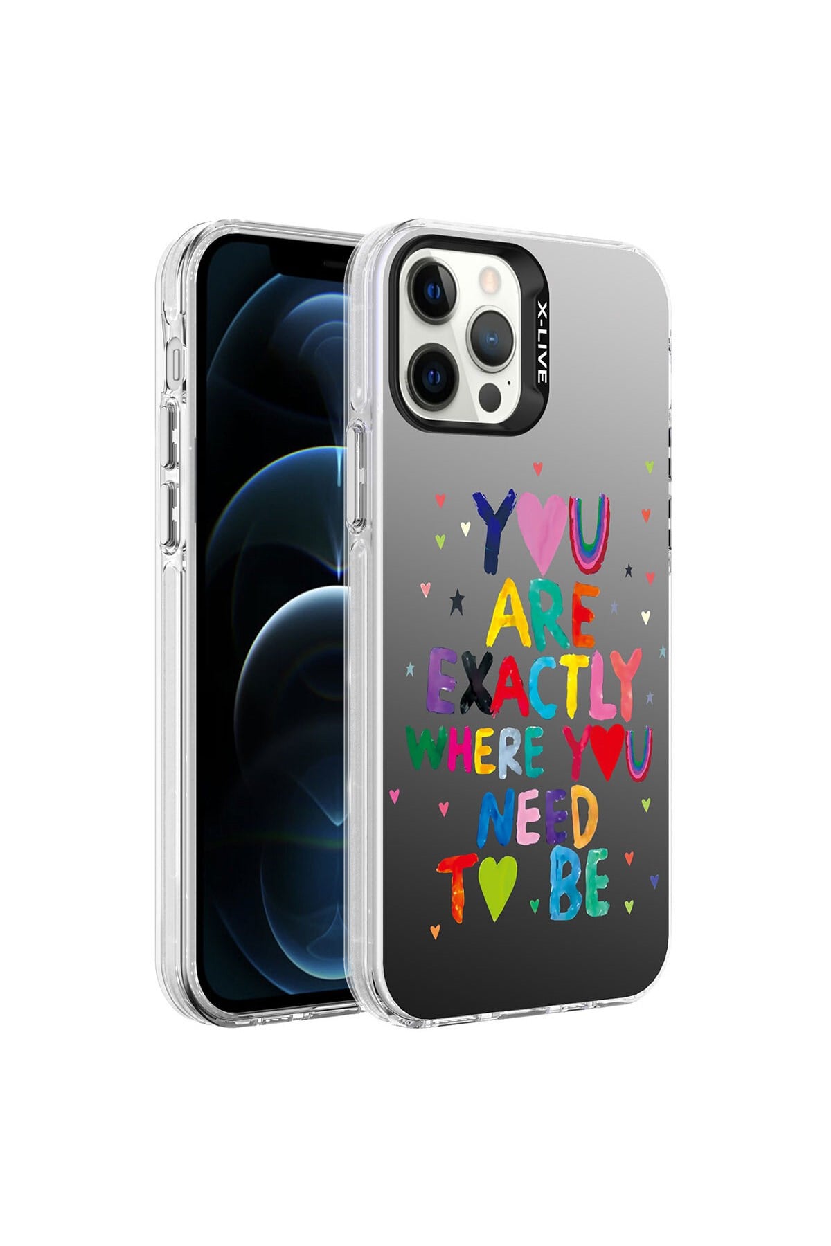 iPhone 12 Pro Uyumlu Desenli NVTH Silver Sert Kılıf-You