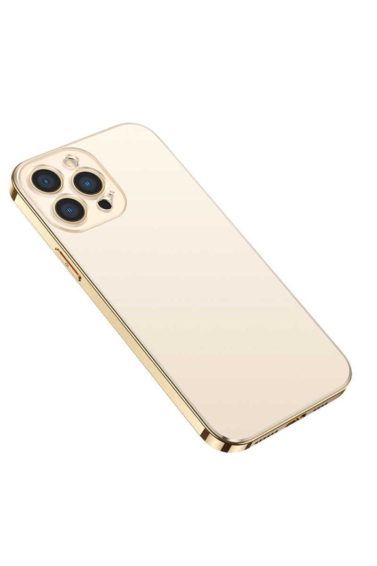 iPhone 12 Pro Uyumlu NVTH Bobo Kılıf-Gold