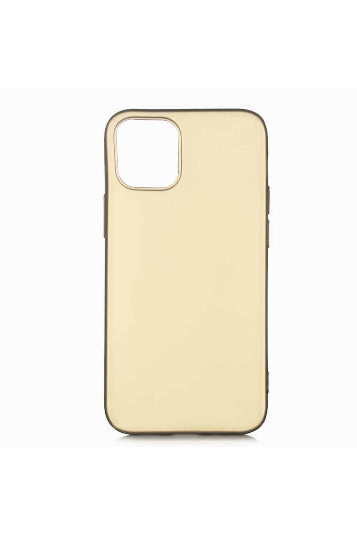 iPhone 12 Uyumlu NVTH Premier Silikon Kılıf-Gold