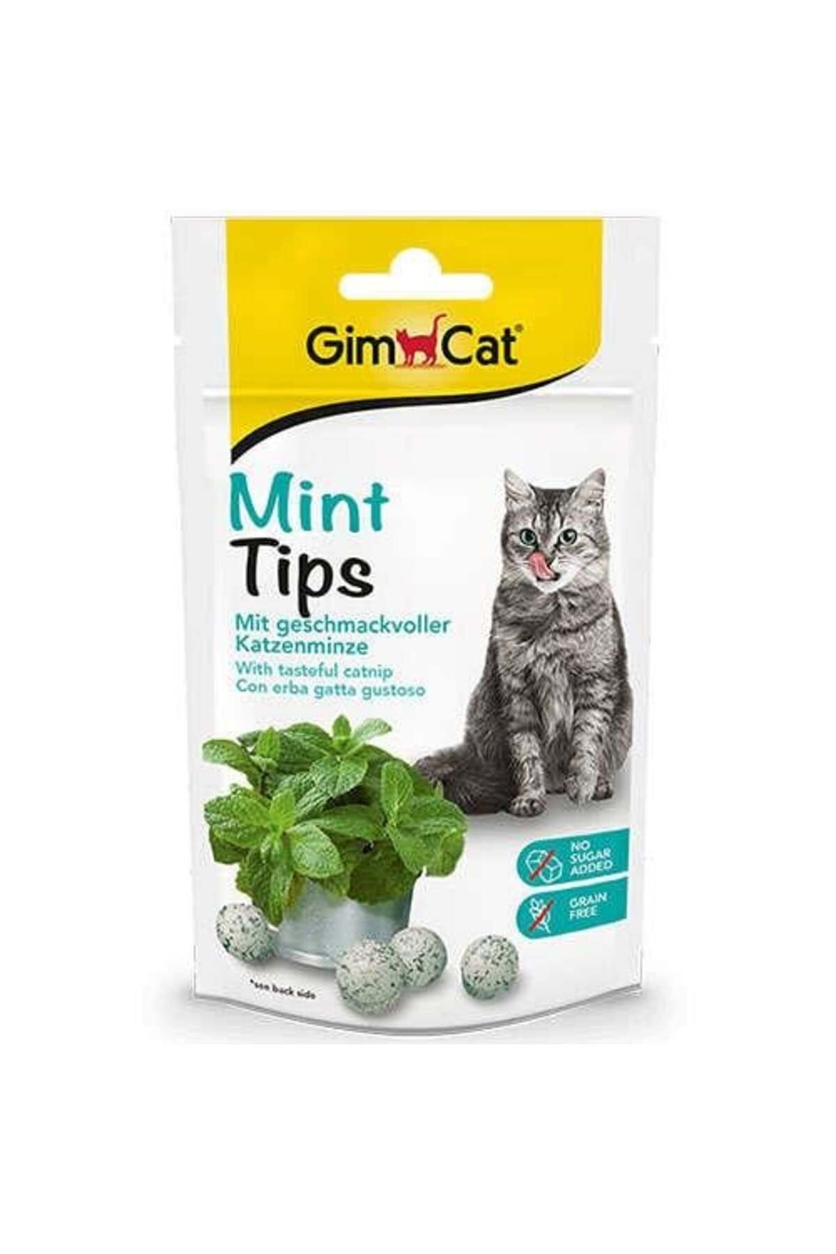 Mint Tips Ödül Tableti 40gr