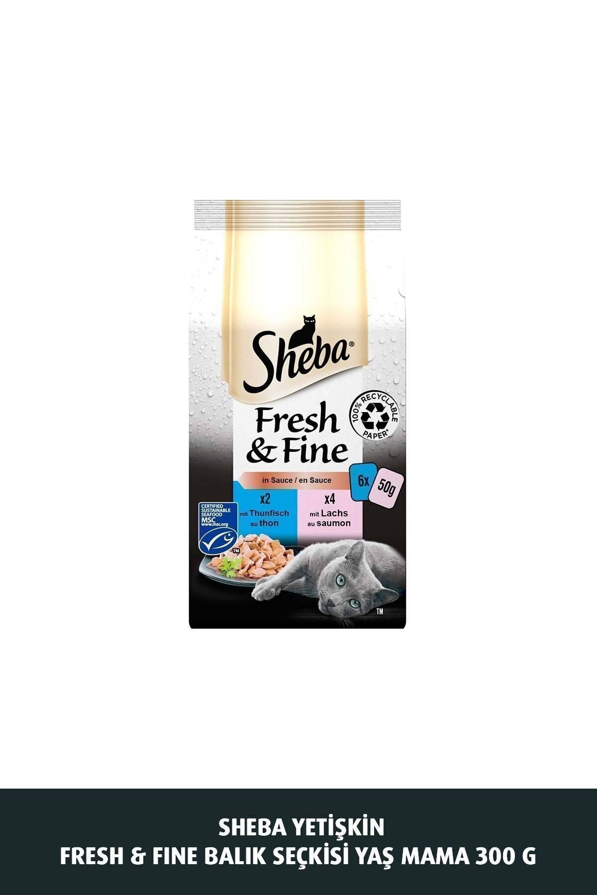 Yetişkin Fresh & Fine Balık Seçkisi Yaş Mama 300 G