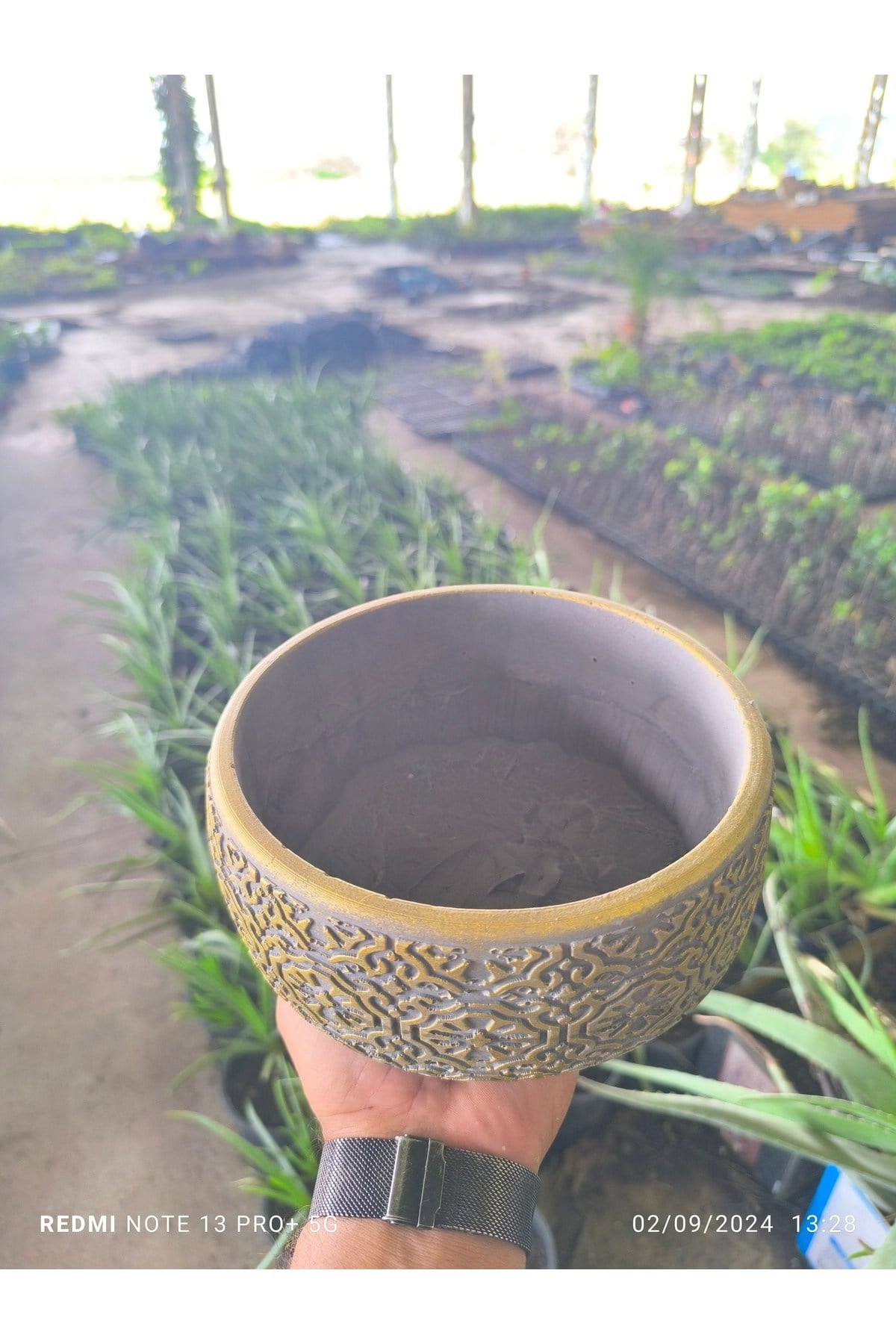 Altın desen beton bonsai aranjman ve Orkide saksısı