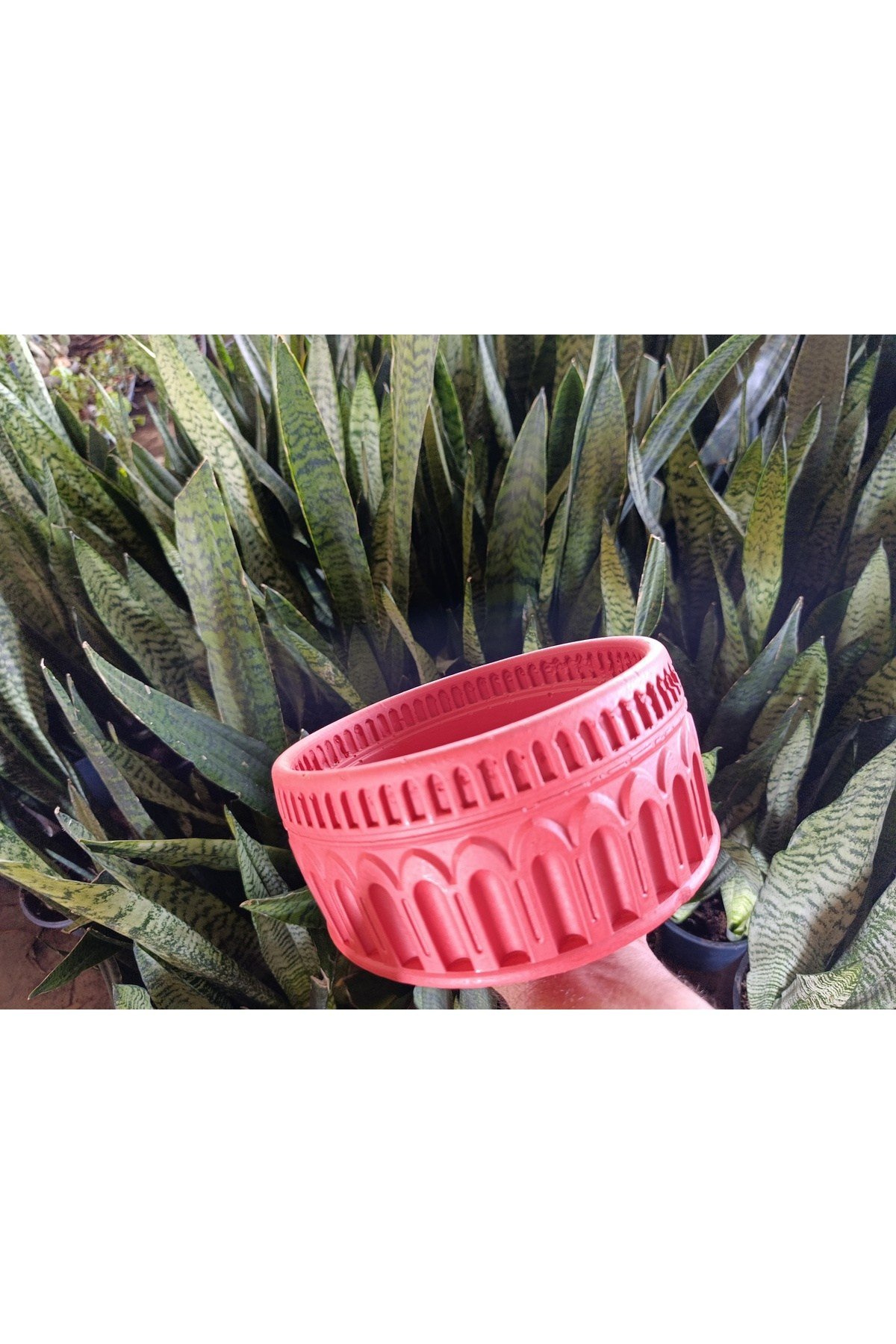 Antik Roma Desenli Taş Saksı 21*10 cm Para Çiçeği İle