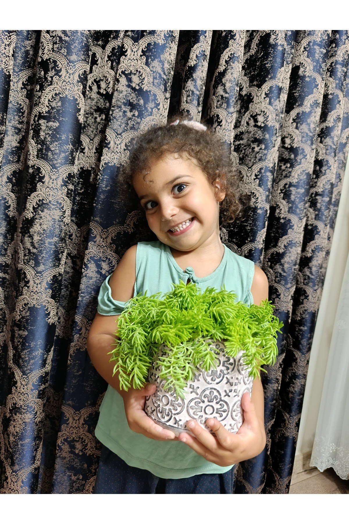 Çiçek Figürlü Taş Saksıda Sarı Sedum Sarmaşığı
