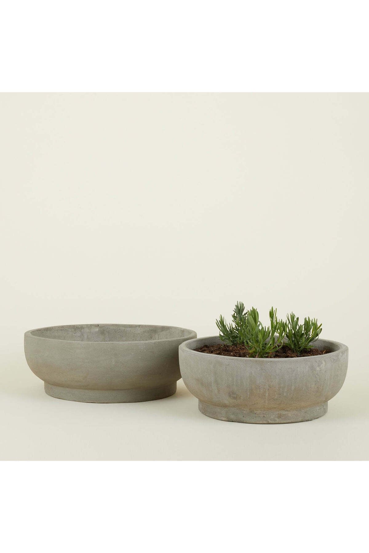 Çift Taban Bonsai, Orkide ve Aranjman Saksısı