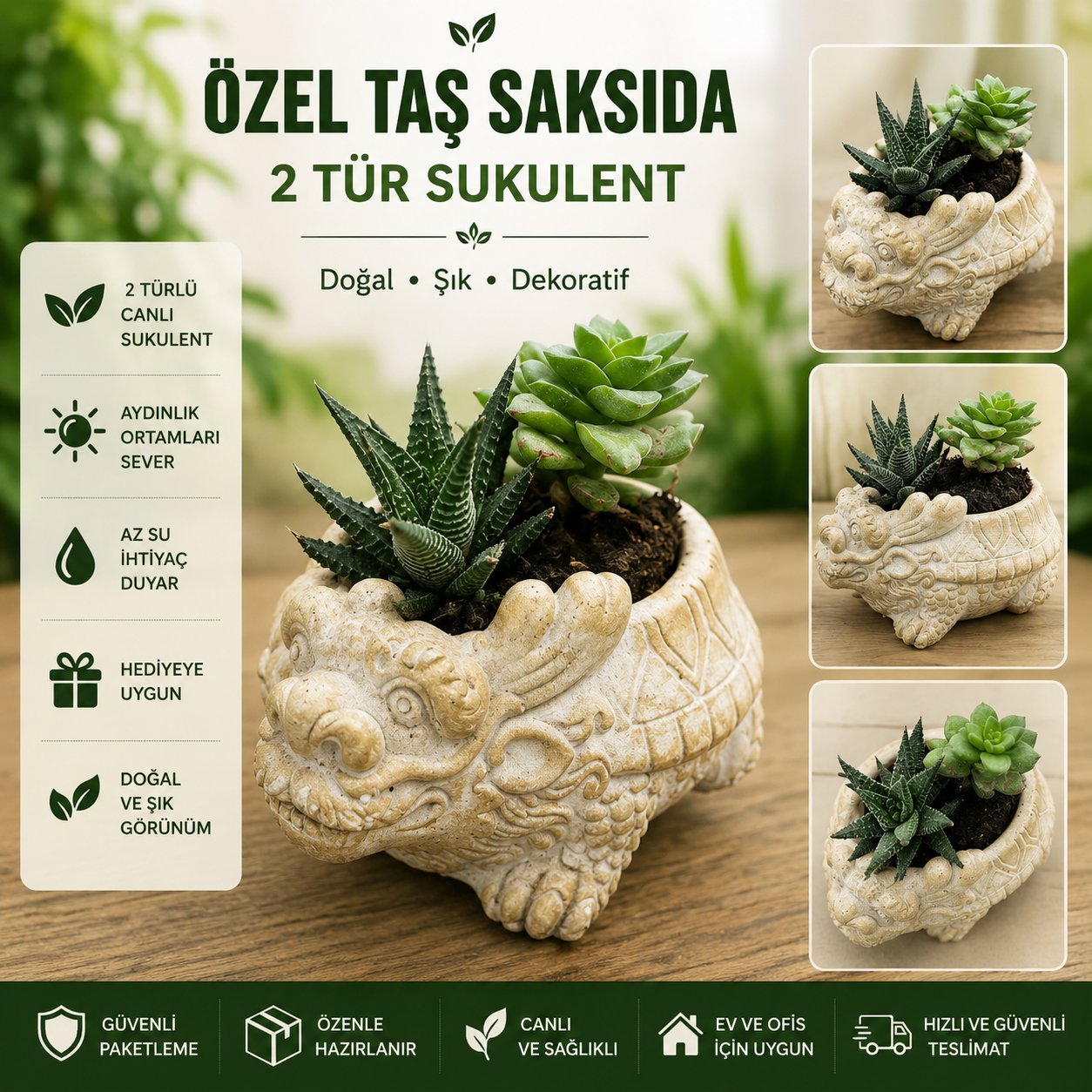 Ejderha Figürlü Taş Saksıda 2 Tür Canlı Sukulent | Dekoratif Hediye Bitkisi