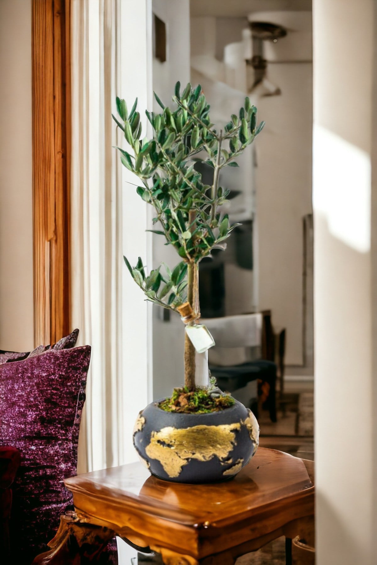 Gold World Saksıda Bonsai Zeytin Ağacı