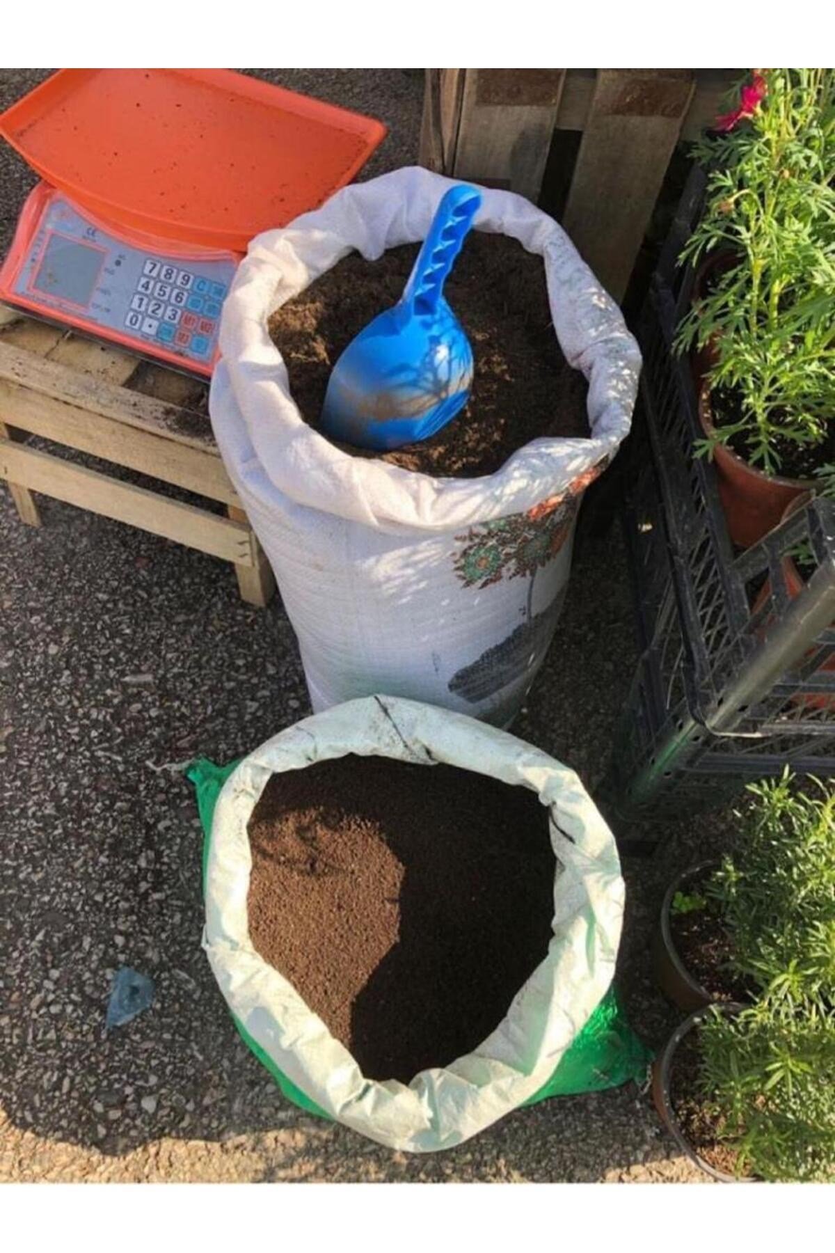 Kestane Toprağı / Perlitli Torf Toprak / Kg Toprak