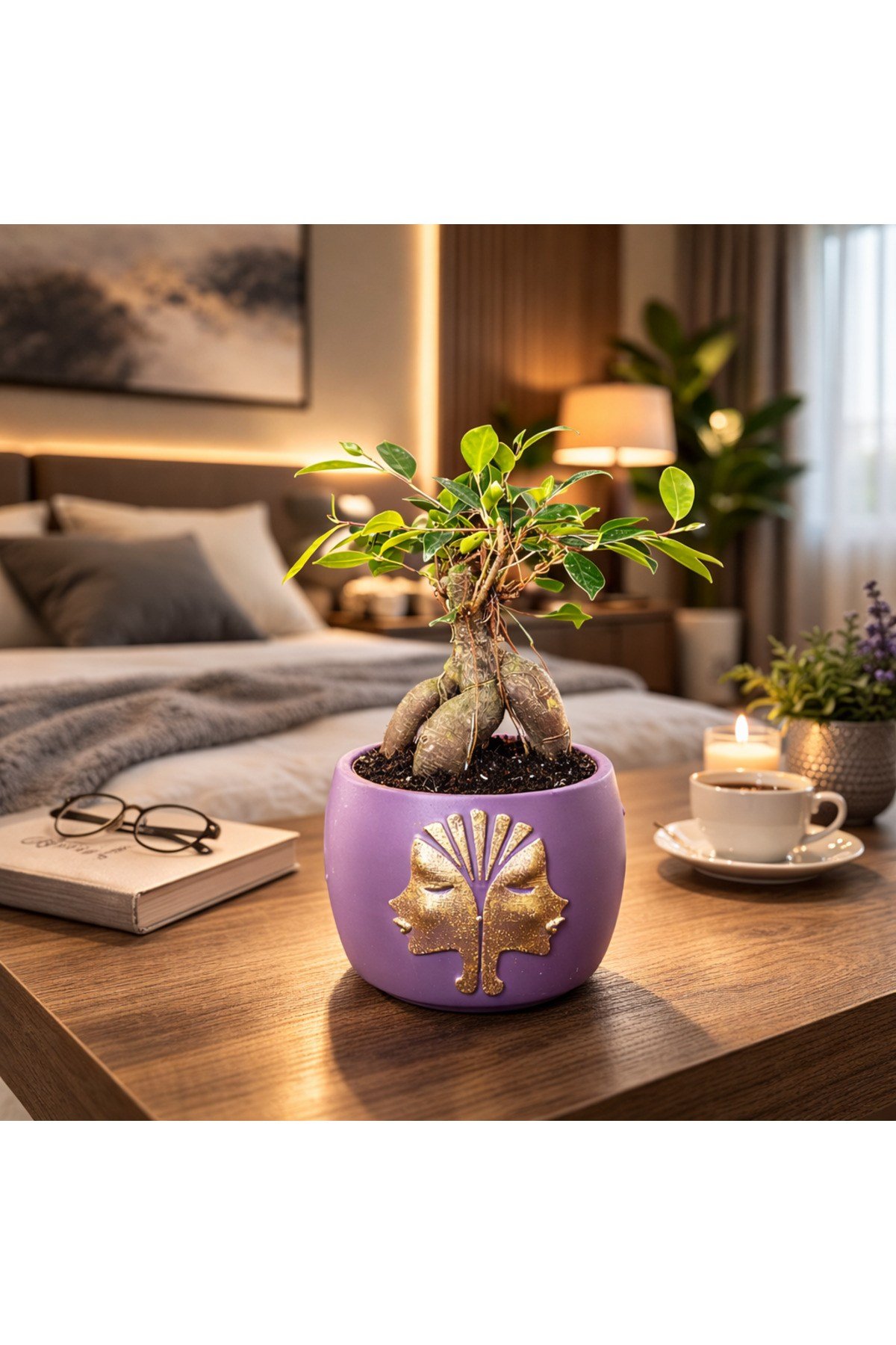 Mor Dekoratif Saksıda Ficus Ginseng Bonsai – Mini Masaüstü Ofis ve Ev Bitkisi