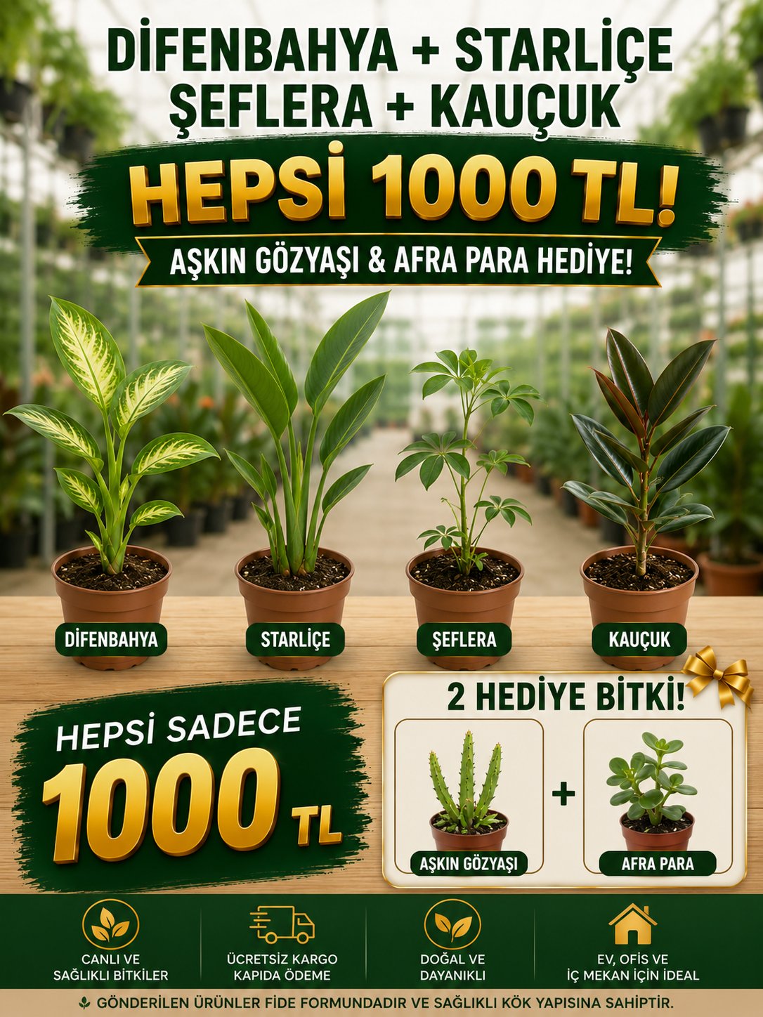 MUHTEŞEM 4+2 SALON BİTKİ KAMPANYASI
