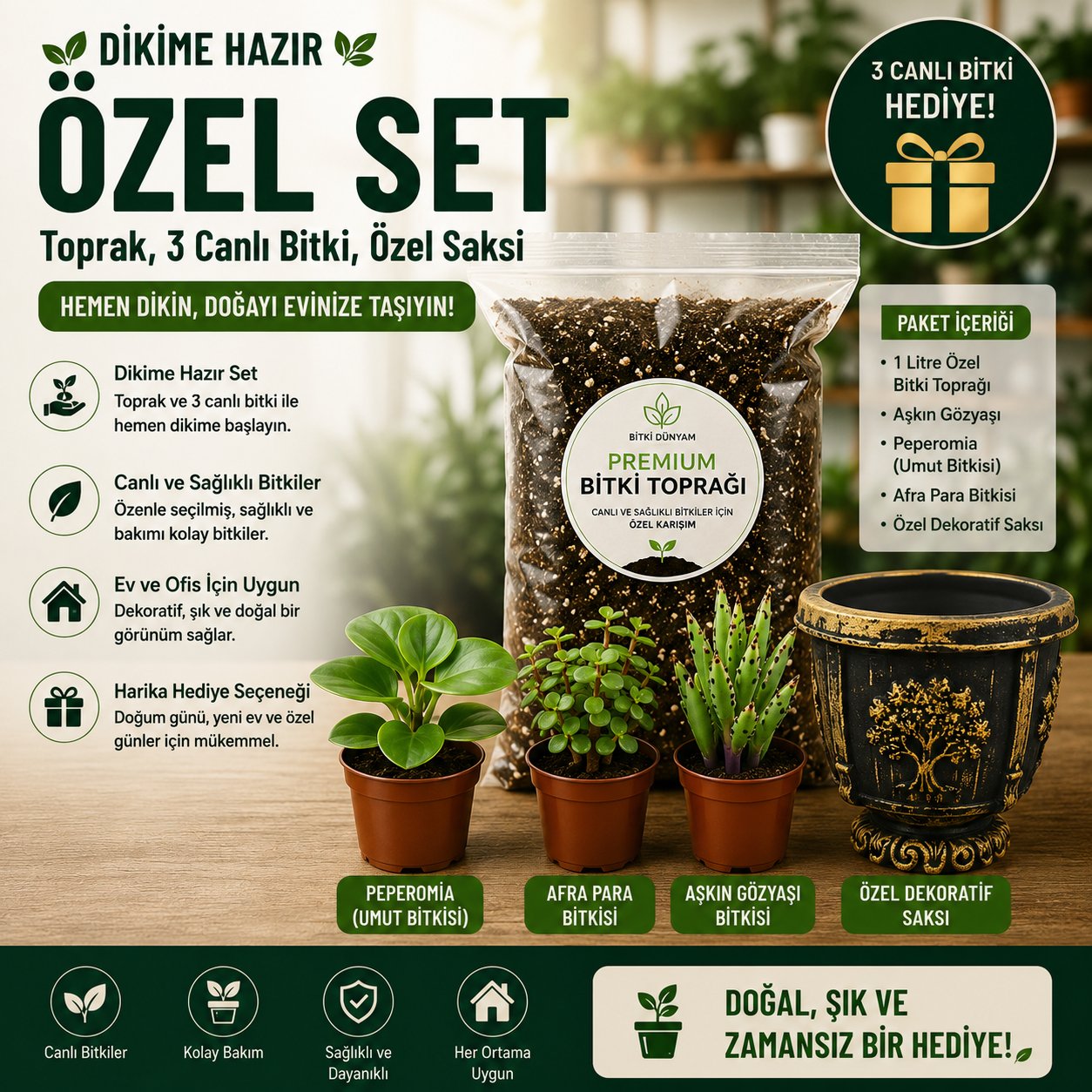 Premium Dikime Hazır Bitki Seti | Toprak, 3 Canlı Bitki ve Dekoratif Saksı