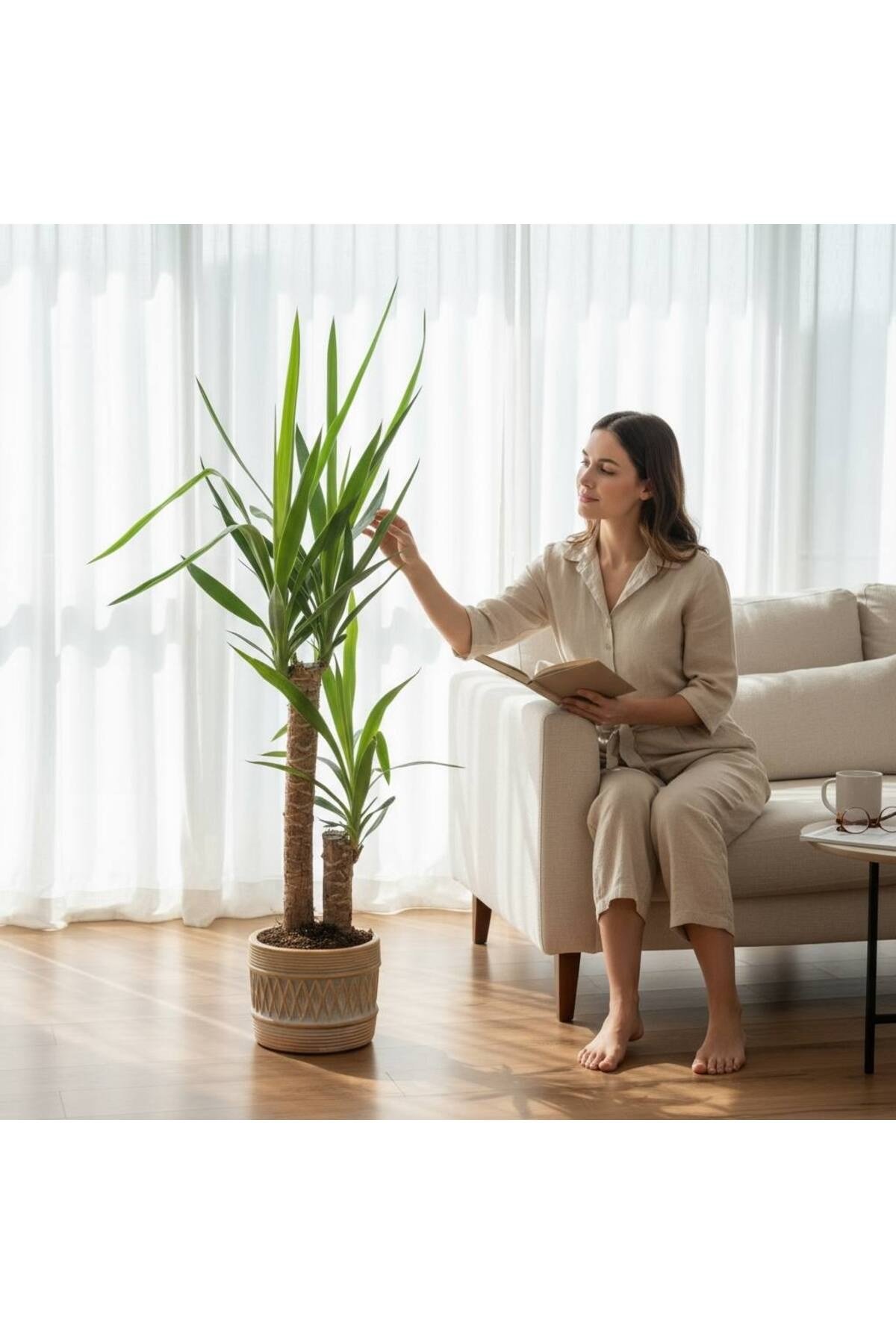 SEPET DİZAYN TAŞ SAKSI DA ÇİFT GÖVDELİ YUCCA - YUKA BİTKİSİ 110-120 CM