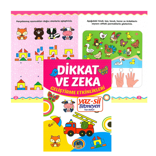 KARATAY YAZ-SİL ÇİZGİ ÇALIŞMASI