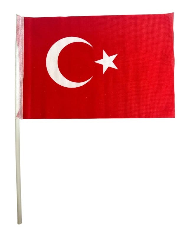 VATAN SOPALI BAYRAK BEZ 20X30 BAYRAK 10'LU