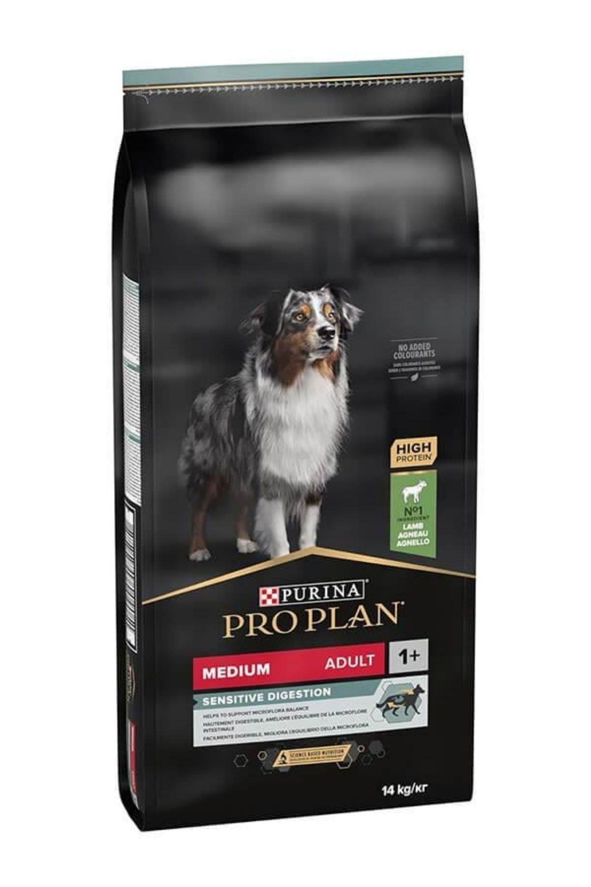 Adult Kuzu Etli Yetişkin Köpek Maması 14 Kg