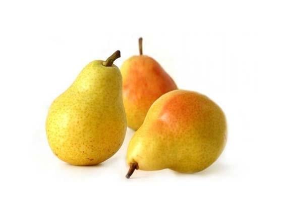 Armut Santamaria