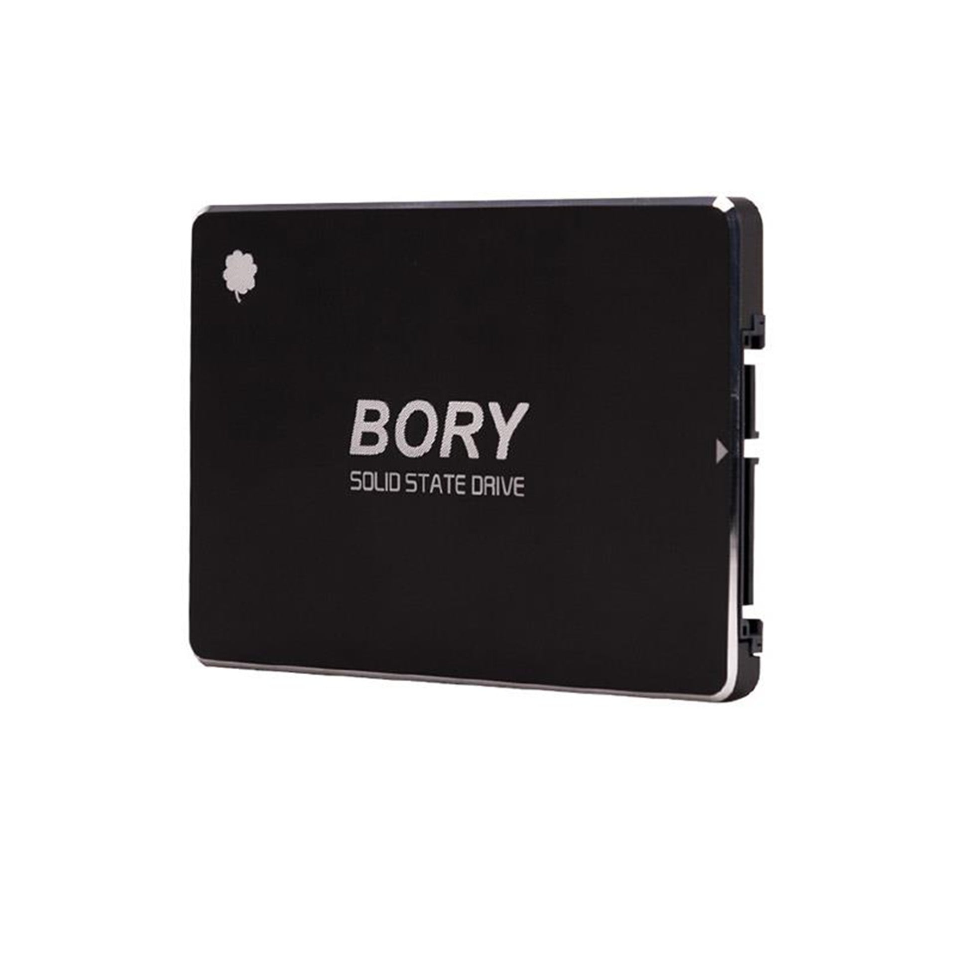 Bory Bory R500-C256G Sata3 256 Gb SSD 550/510 Mbs Harddisk - SSD Harddisk