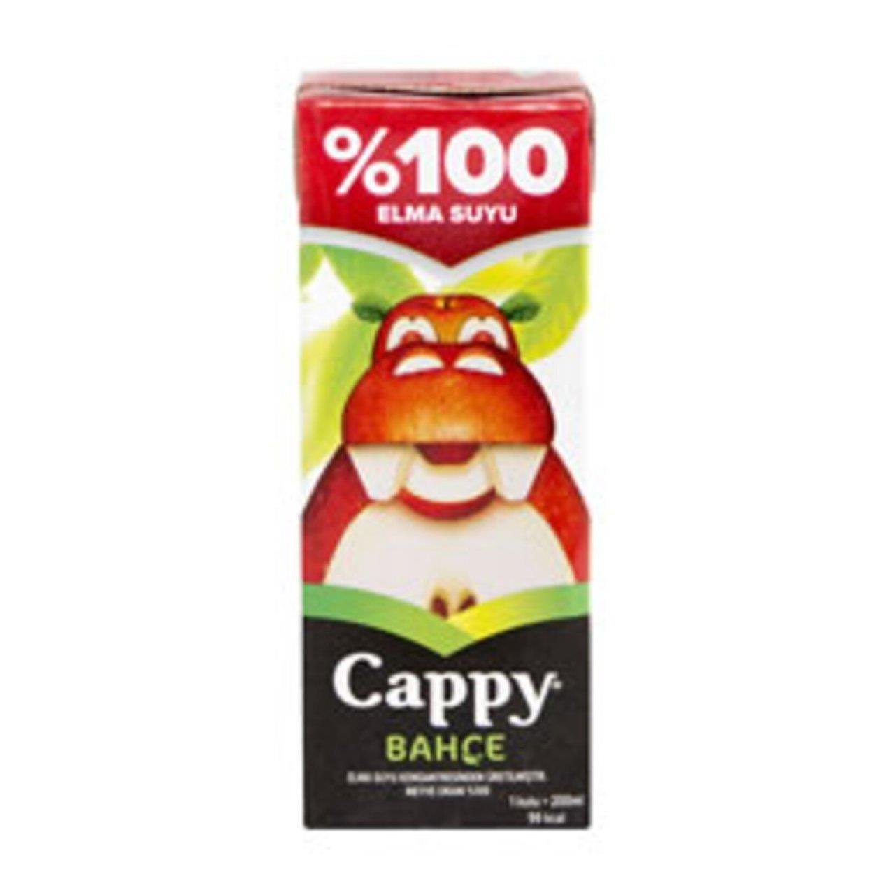 Cappy Meyve Suyu %100 Elma 200ml uht