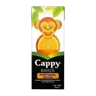 Cappy Meyve Suyu Portakal 200ml uht