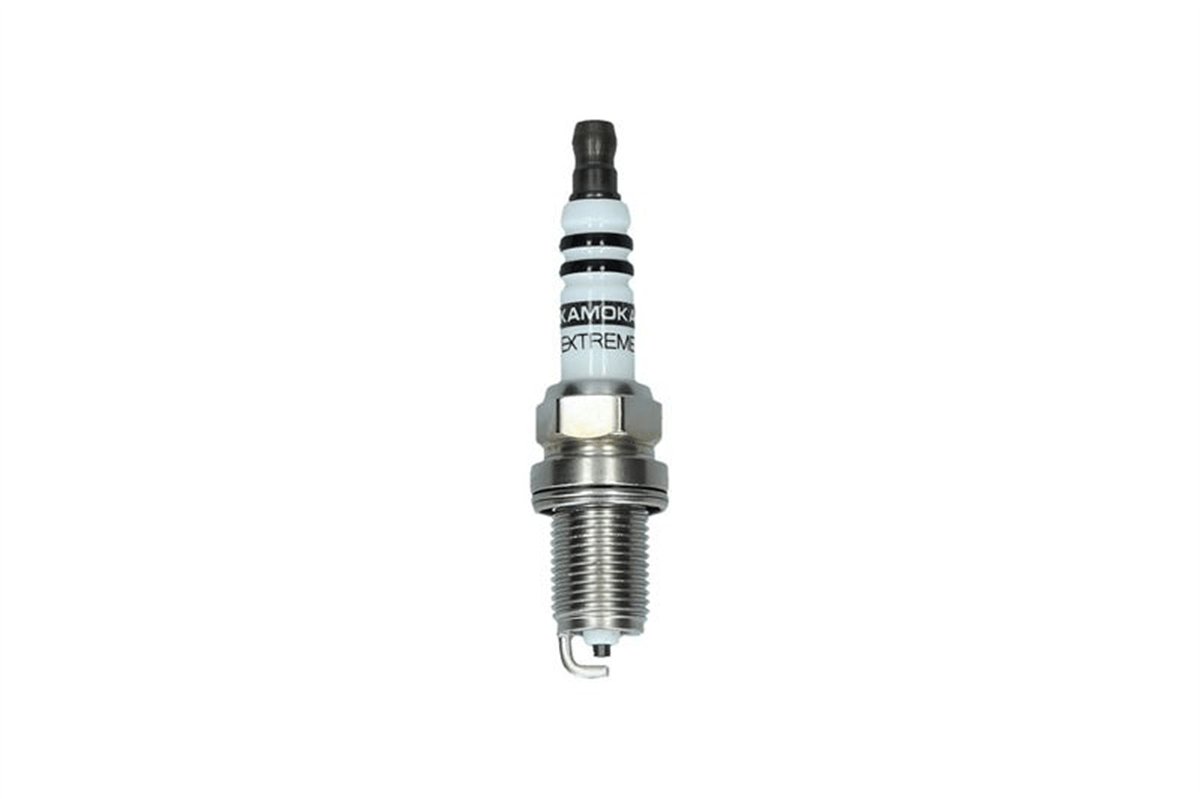 BERU Z73 - Buji - Japon Pathfinder (r50)