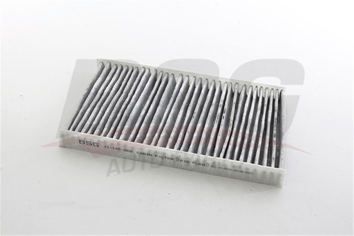 BSG 11-145-002 - Polen Filtresi - Vw A4-a6