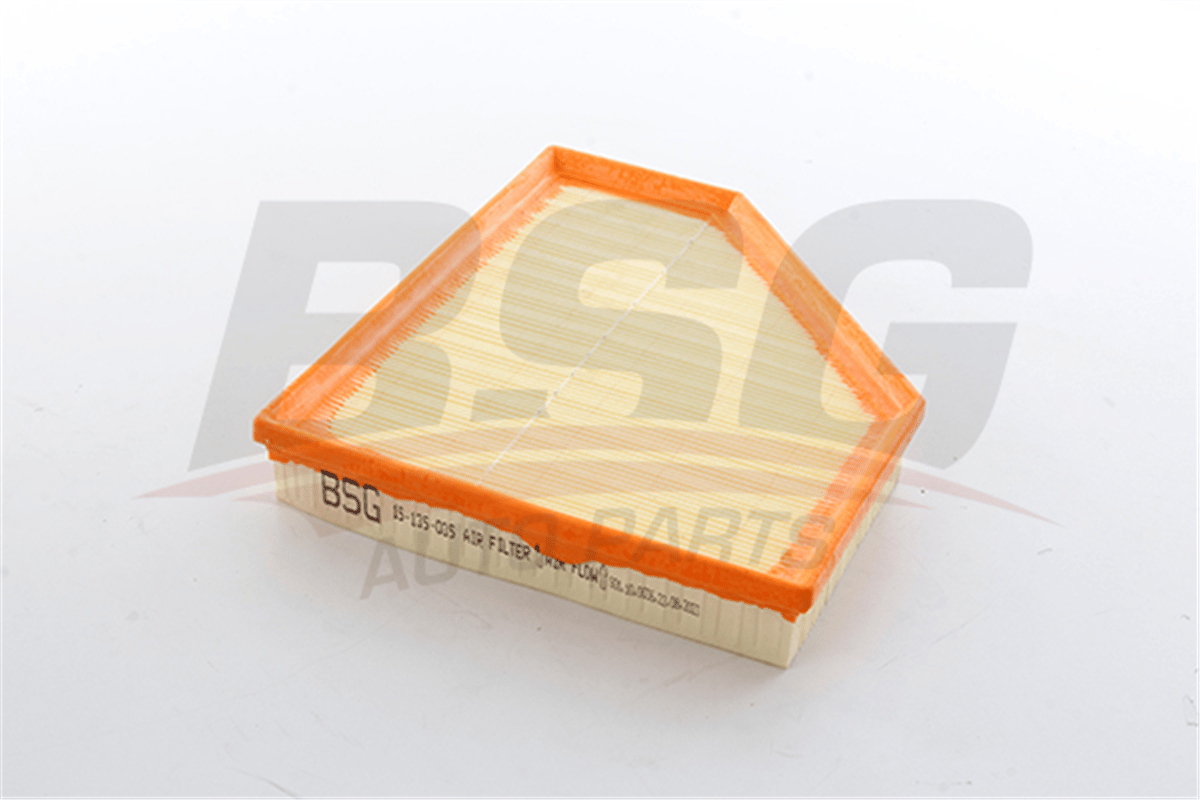 BSG 15-135-035 - Hava Filtresi - Bmw G20-g21-g23-g28-z4 G89