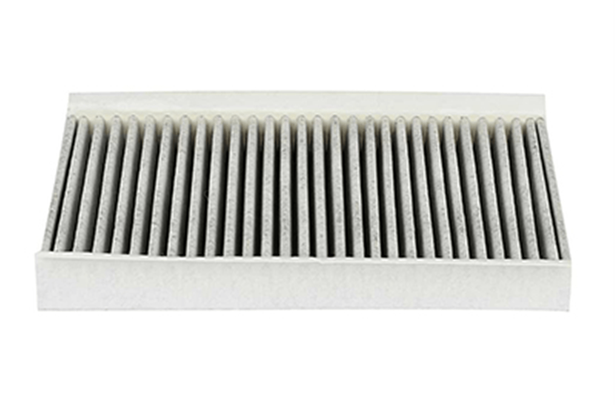 BSG 15-145-001 - Polen Filtresi - Bmw Land Rover Discovery 3/range Rover Sport