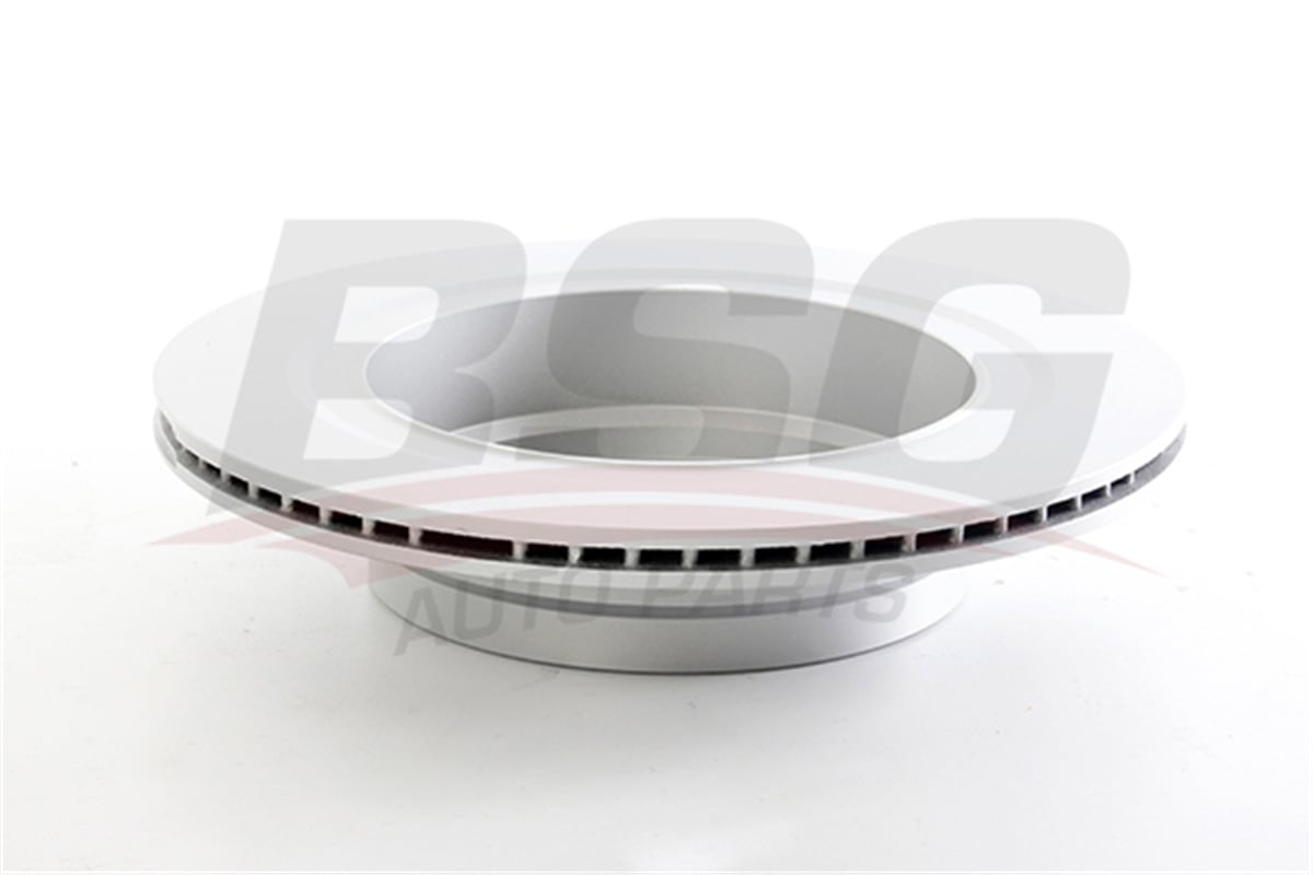 BSG 15-210-042 - Fren Diski Arka - Bmw Land Rover Range Rover Iii