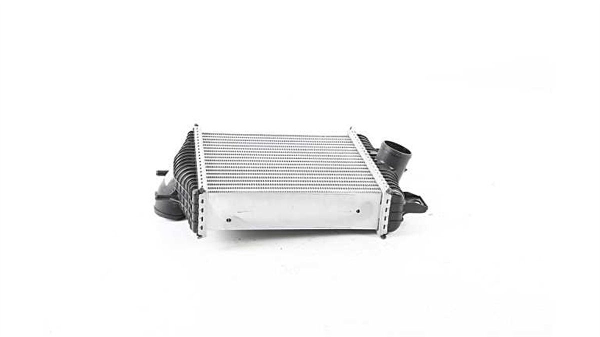BSG 15-535-015 - Turbo Radyatörü - Bmw Land Rover Range Rover Iii - Sport
