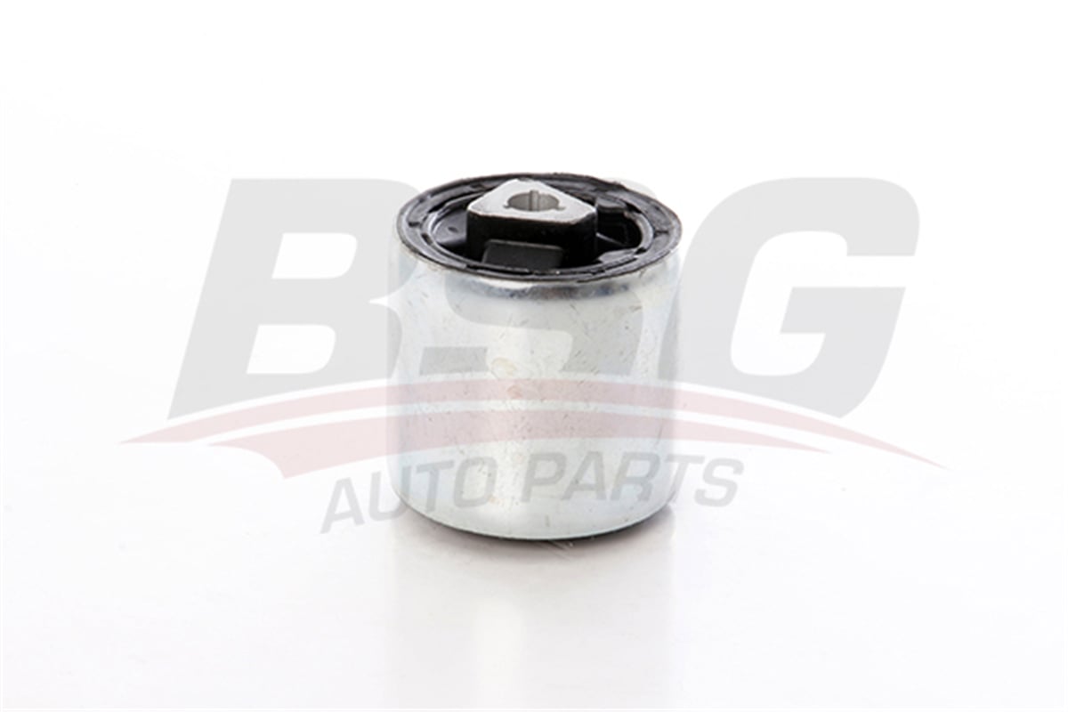 BSG 15-700-065 - Salincak Burcu Ön - Bmw E60-e61-e63-e64