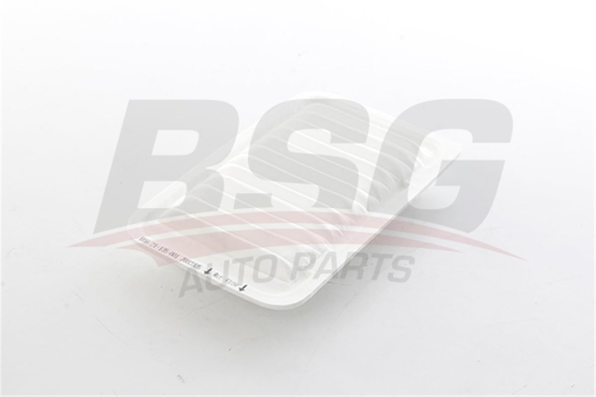 BSG 21-135-001 - Hava Filtresi - Japon Terios (j1)