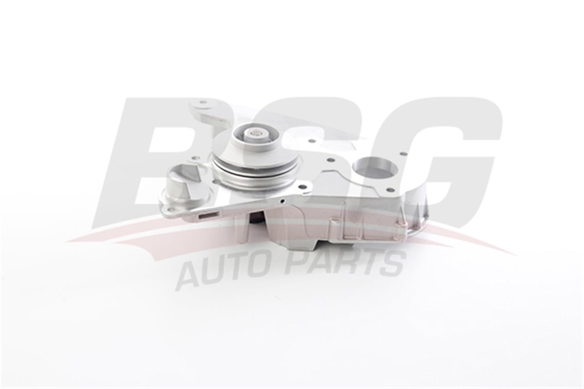 BSG 25-500-010 - Devirdaim - Fiat Ducato Iii / Iveco Daily / Karsan Jest J10