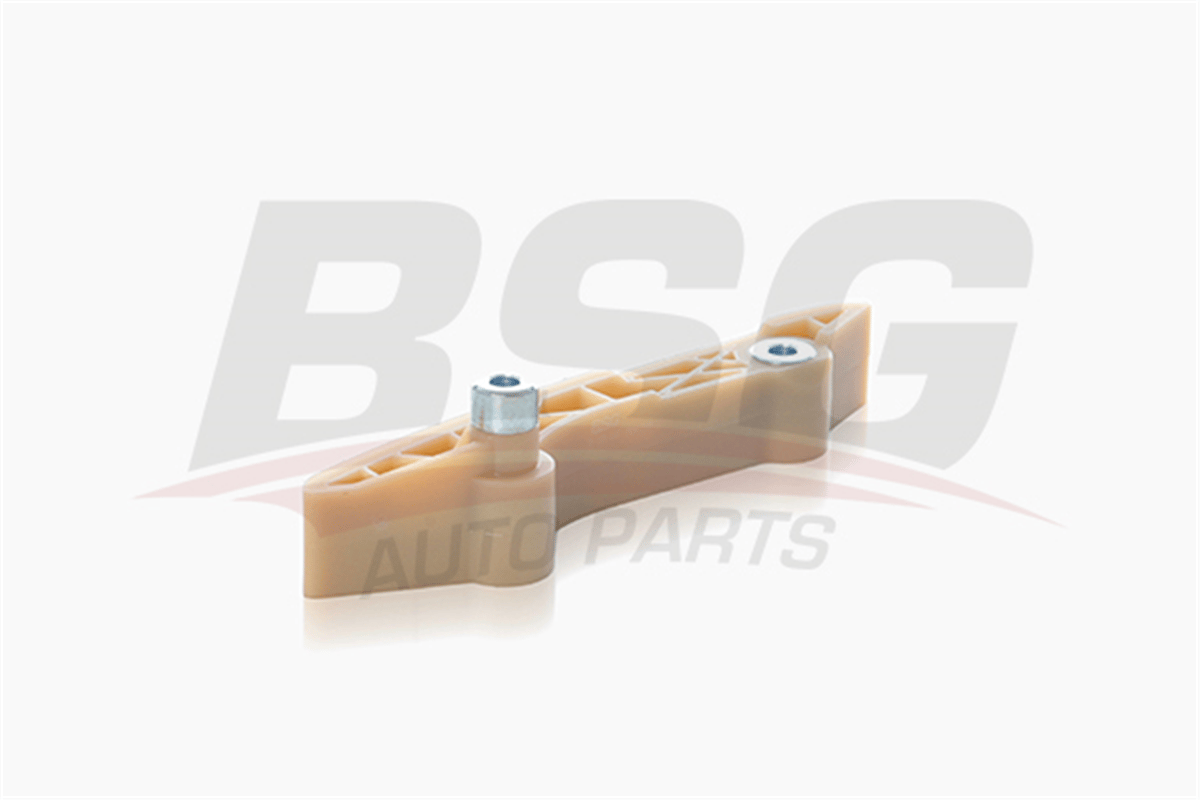 BSG 30-109-034 - Eksantrik Zincir Gergisi - Ford Transit V184