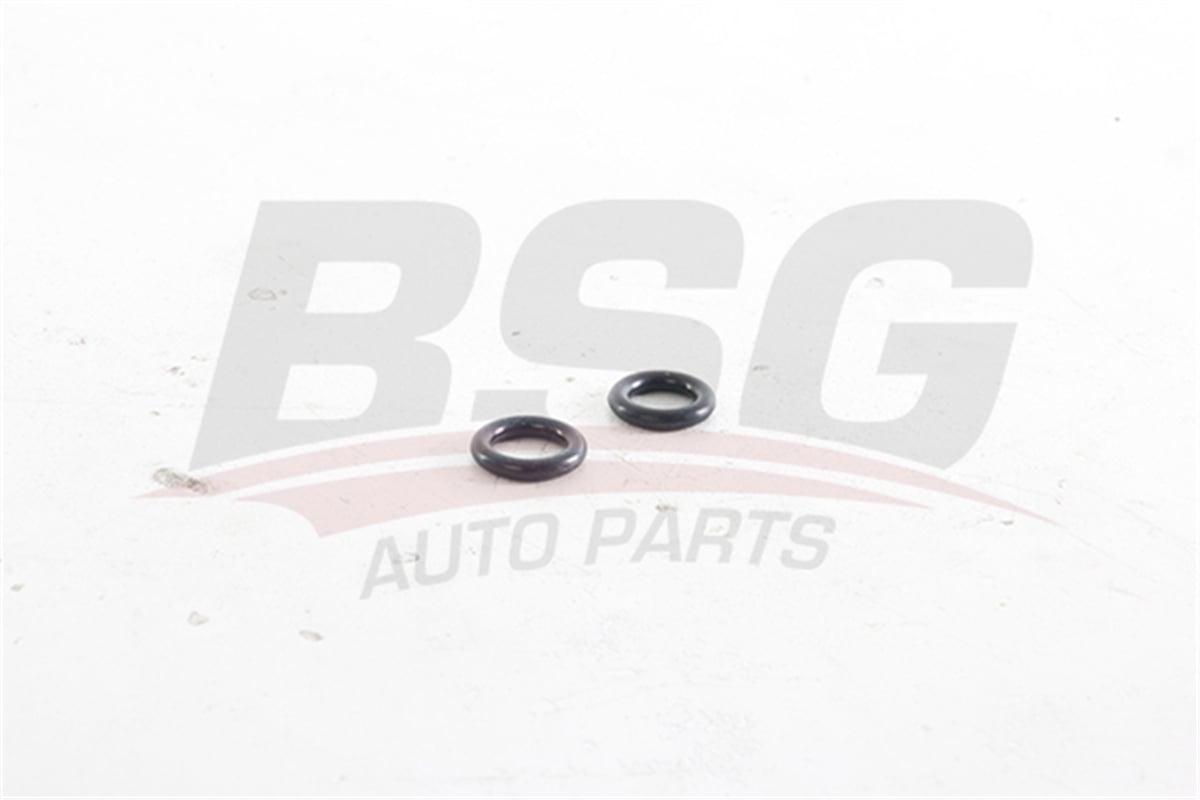 BSG 30-116-088 - Vakum Pompa Oringi - Ford Transit V184
