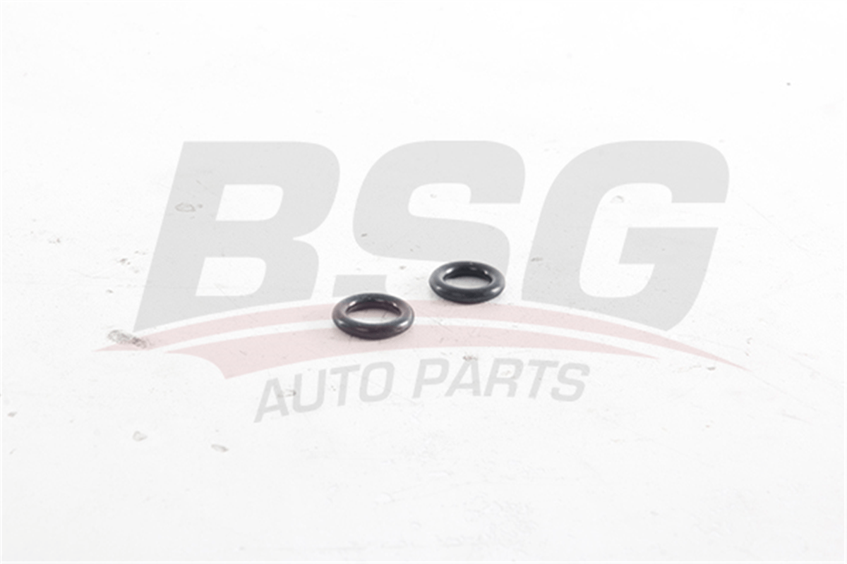BSG 30-116-088 - Vakum Pompa Oringi - Ford Transit V184