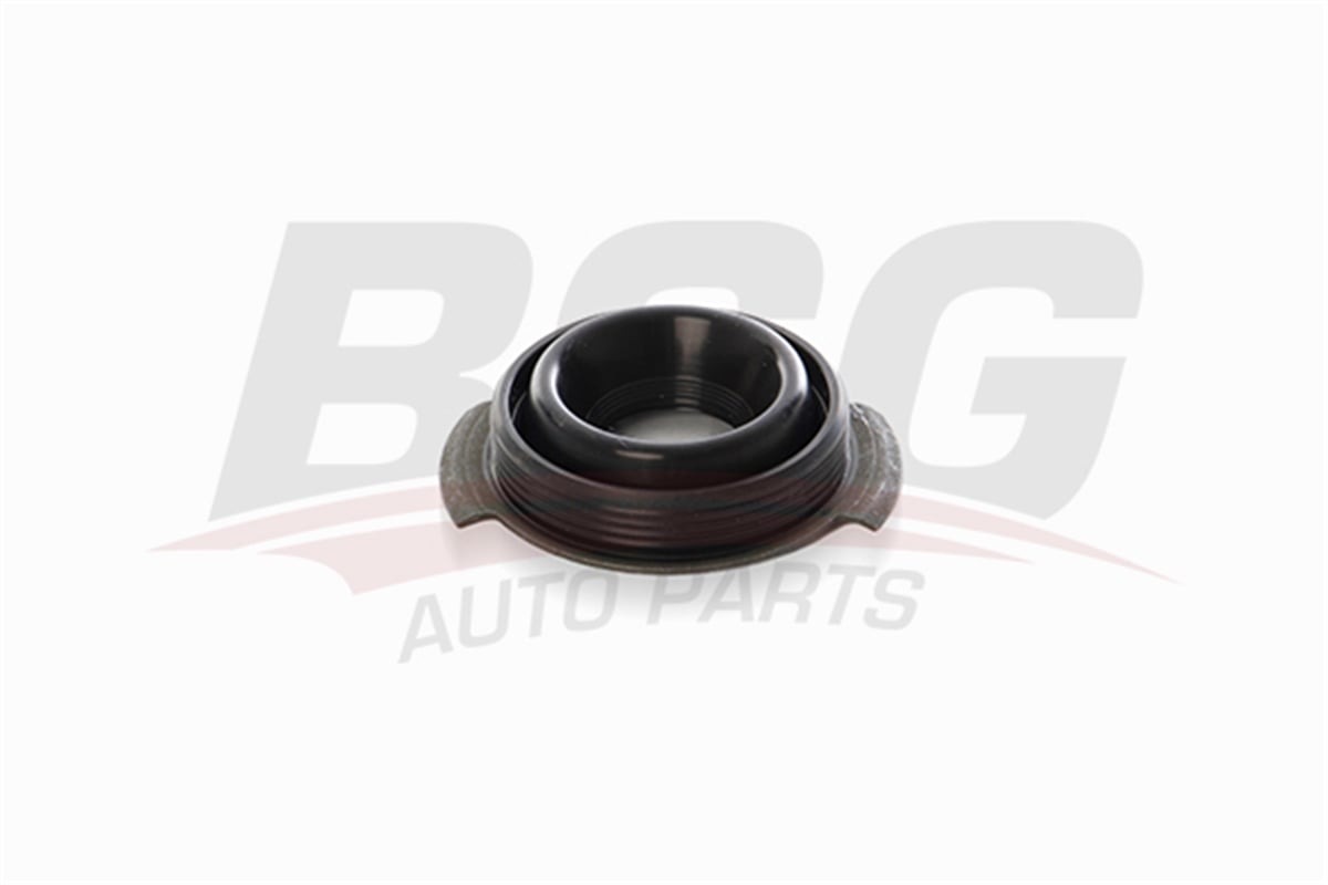 BSG 30-116-134 - Külbütör Kapak Keçesi - Ford Transit V184