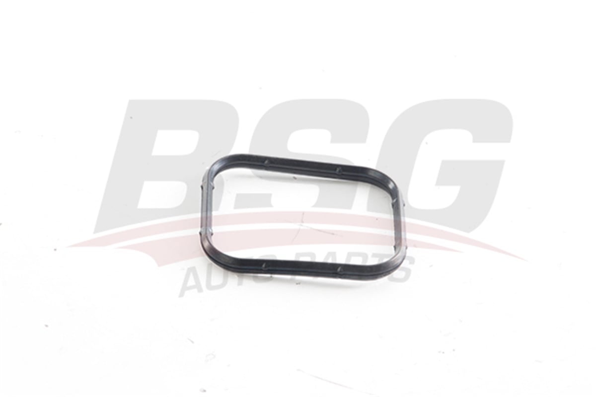 BSG 30-116-196 - Manifold Contasi Emme - Ford Focus/307/407