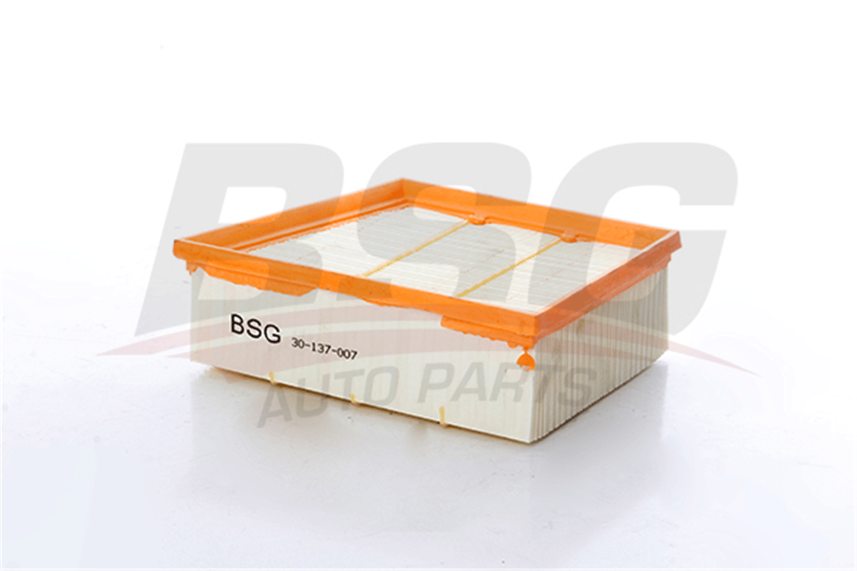 BSG 30-137-007 - Hava Filtresi - Ford Fiesta/ecosport/courier