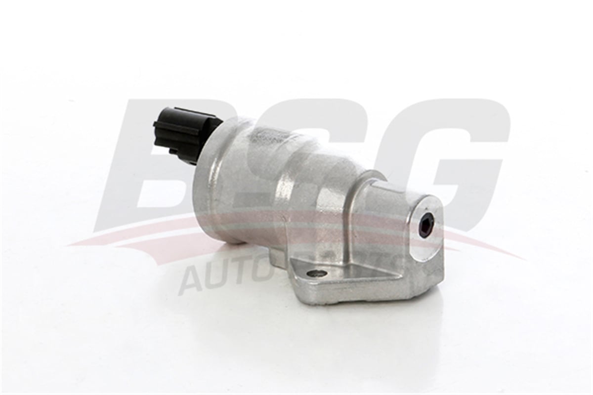 BSG 30-836-008 - Rolanti Ayar Valfi - Ford Fiesta/focus