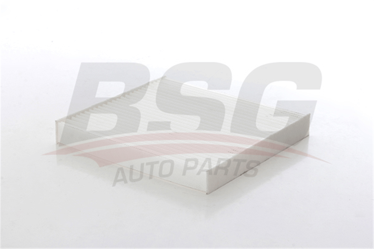 BSG 35-145-005 - Polen Filtresi - Japon Civic (fd, Fb, Fk) : Crv (re, Rm) 2.0/2.2 I-ctdi/1.6 I-dtec 07-16 : Accord (cl,