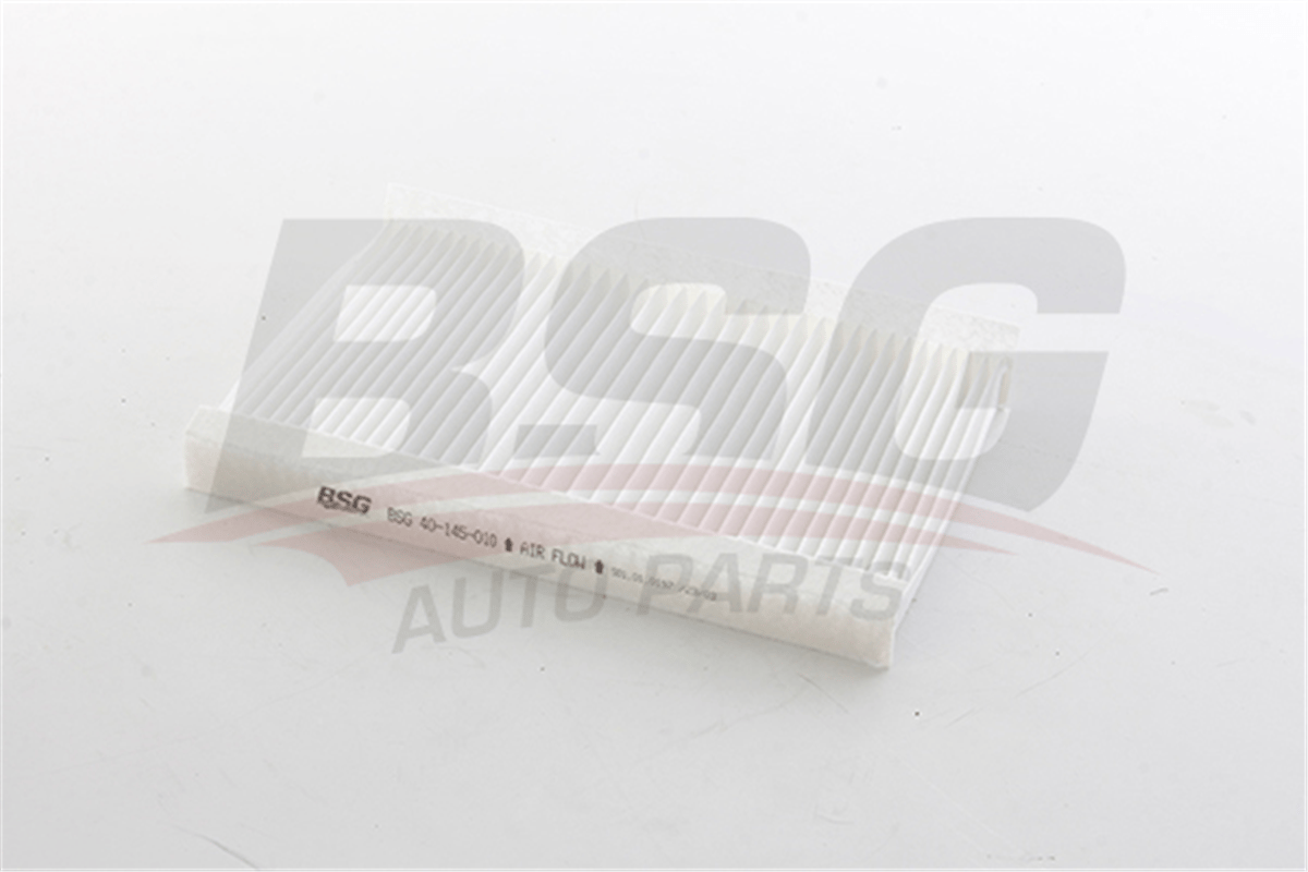 BSG 40-145-010 - Polen Filtresi - Kore I30/ceed