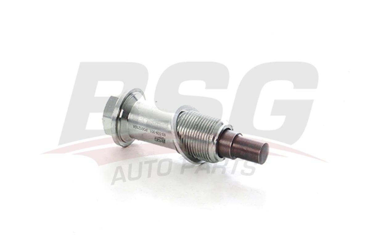 BSG 60-109-001 - Eksantrik Zincir Gergisi - Mercedes 204-221-164-212-203-639-166