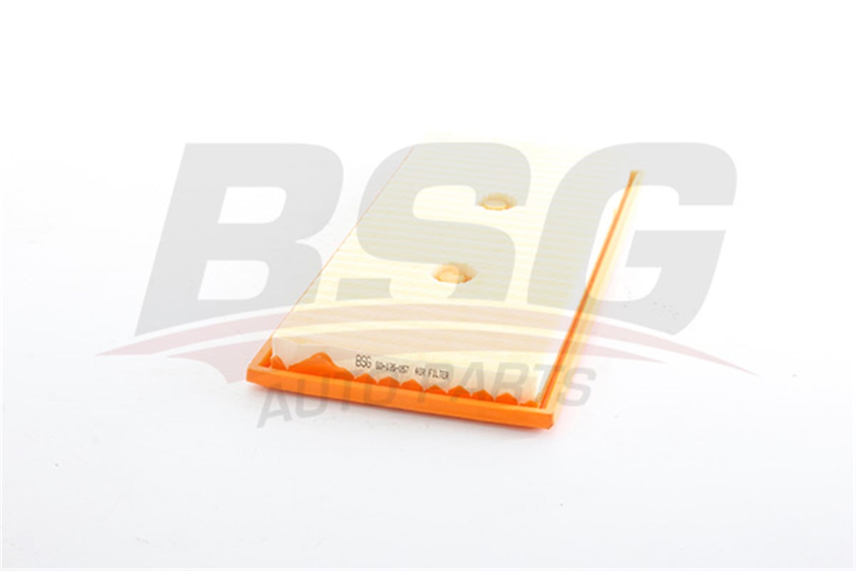 BSG 60-135-057 - Hava Filtresi - Mercedes 251-221-216