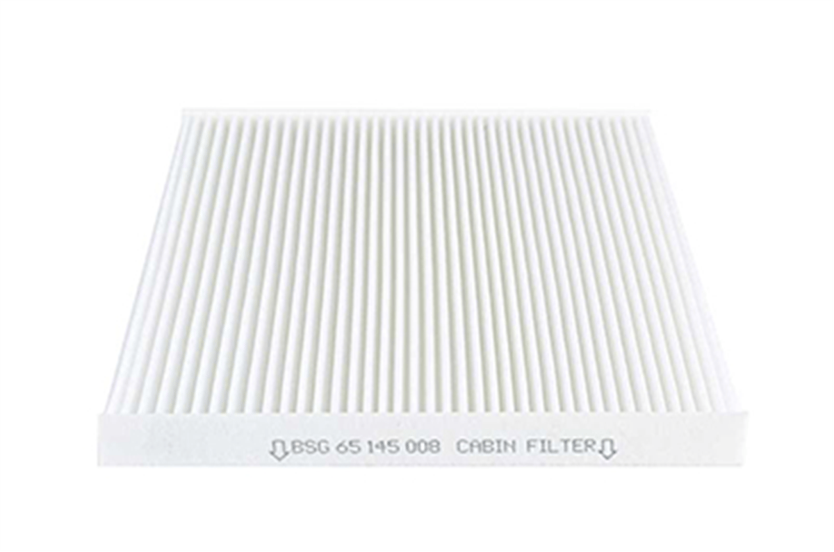 BSG 65-145-008 - Polen Filtresi - Opel Corsa D