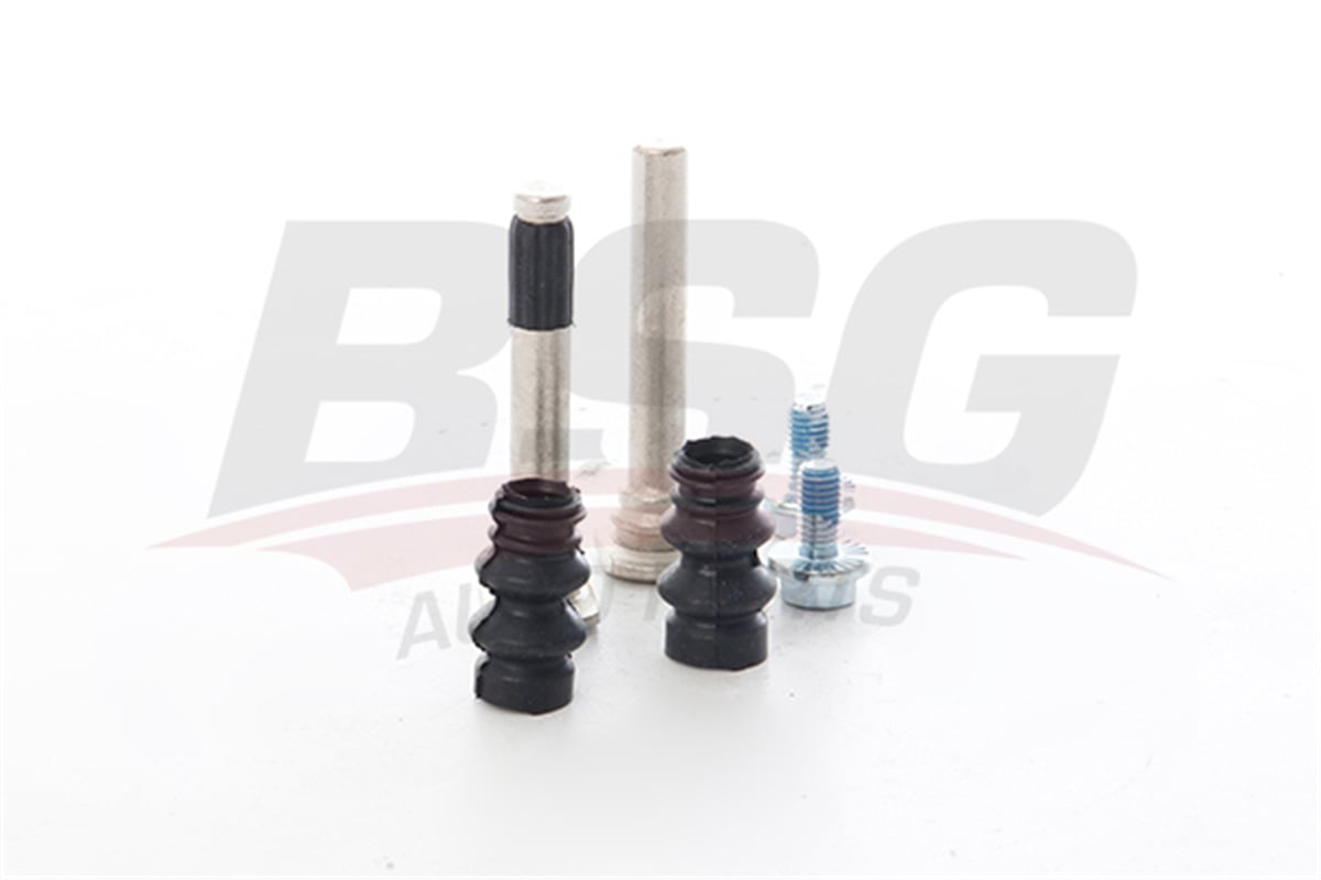BSG 70-250-001 - Kaliper Keçe Lastik Takimi - Psa 206/207/307/301
