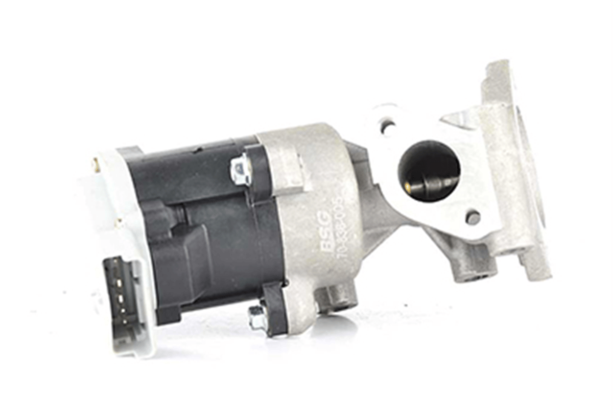 BSG 70-836-005 - Egr Valfi - Psa 407/607