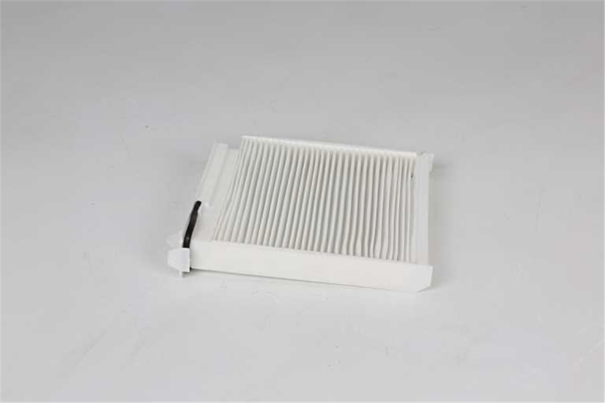 BSG 75-145-005 - Polen Filtresi - Renault Clio Iii/duster/modus/micra