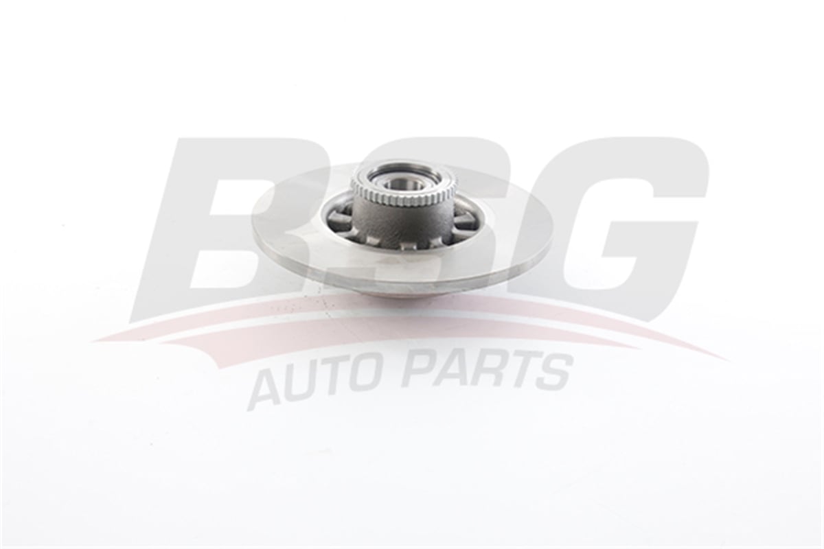 BSG 75-210-021 - Fren Diski Arka - Renault Trafic Iii/talento