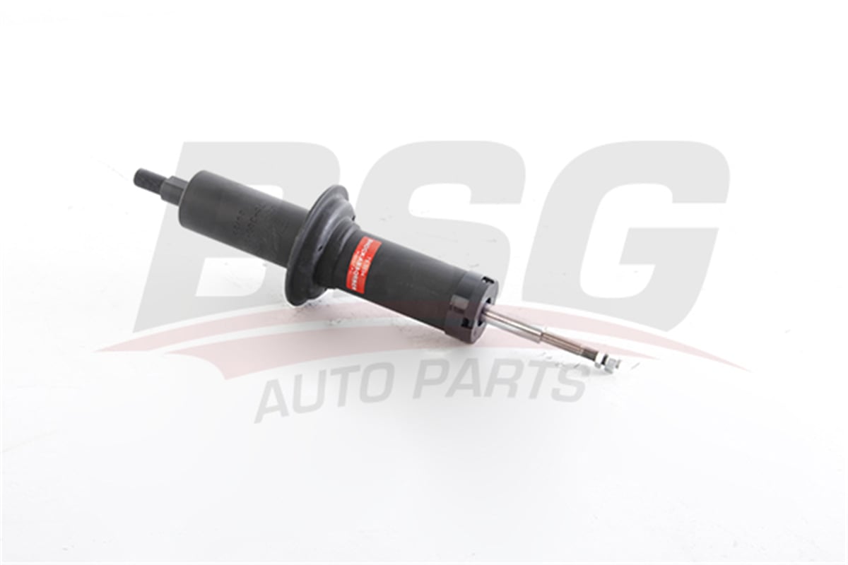 BSG 75-300-036 - Amortisör Ön - Renault R12 Ts